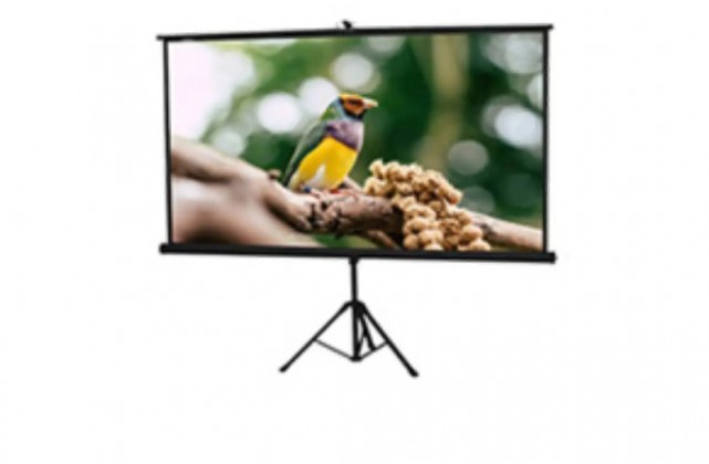 projector screen